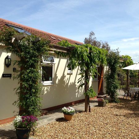 וולס Ashford House B&B מראה חיצוני תמונה